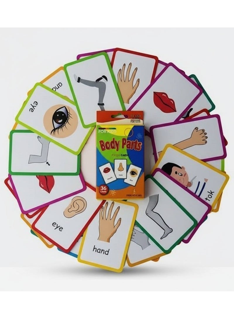 ساراونت 36 قطعة من البطاقات التعليمية لأجزاء الجسم للأطفال الصغار - تعلم ممتع مع 72 صورة جذابة - Image 2